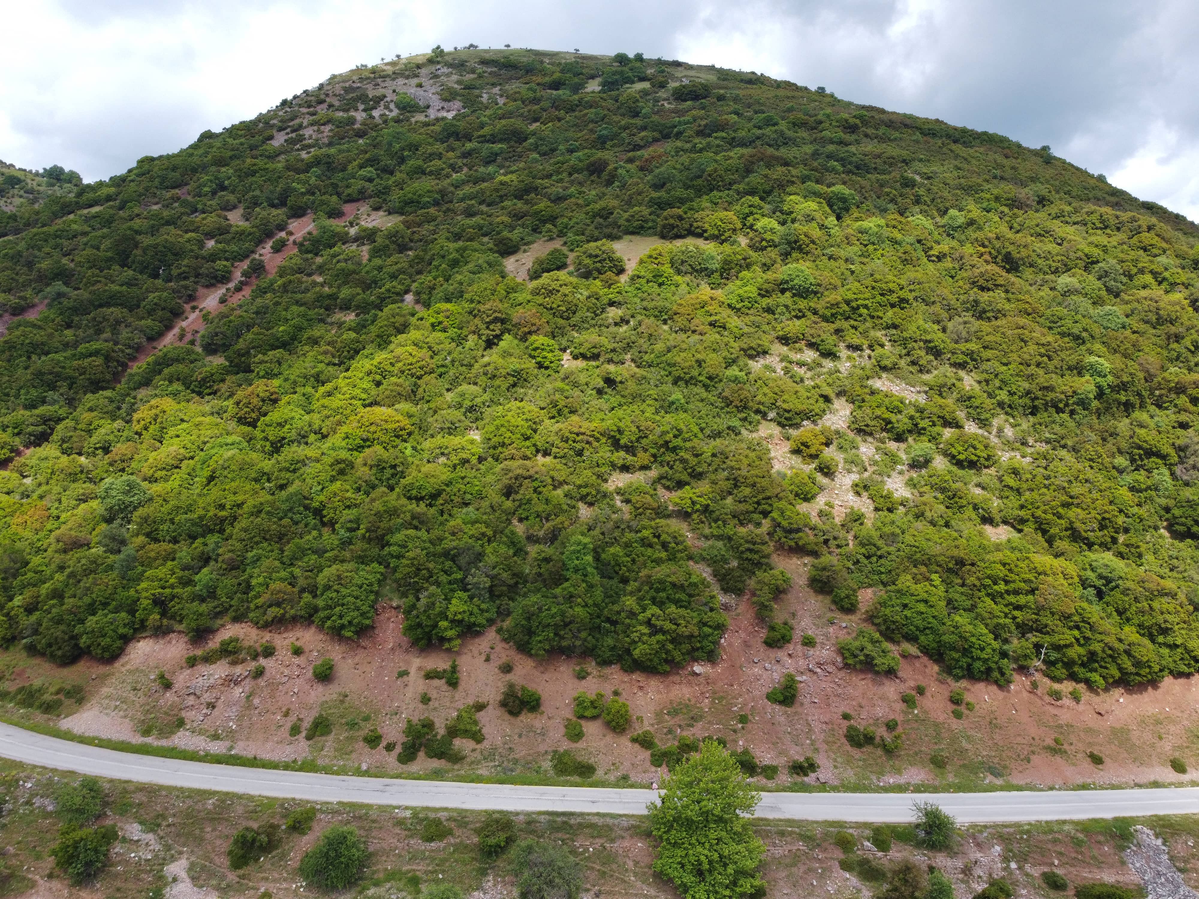 DJI_0065c