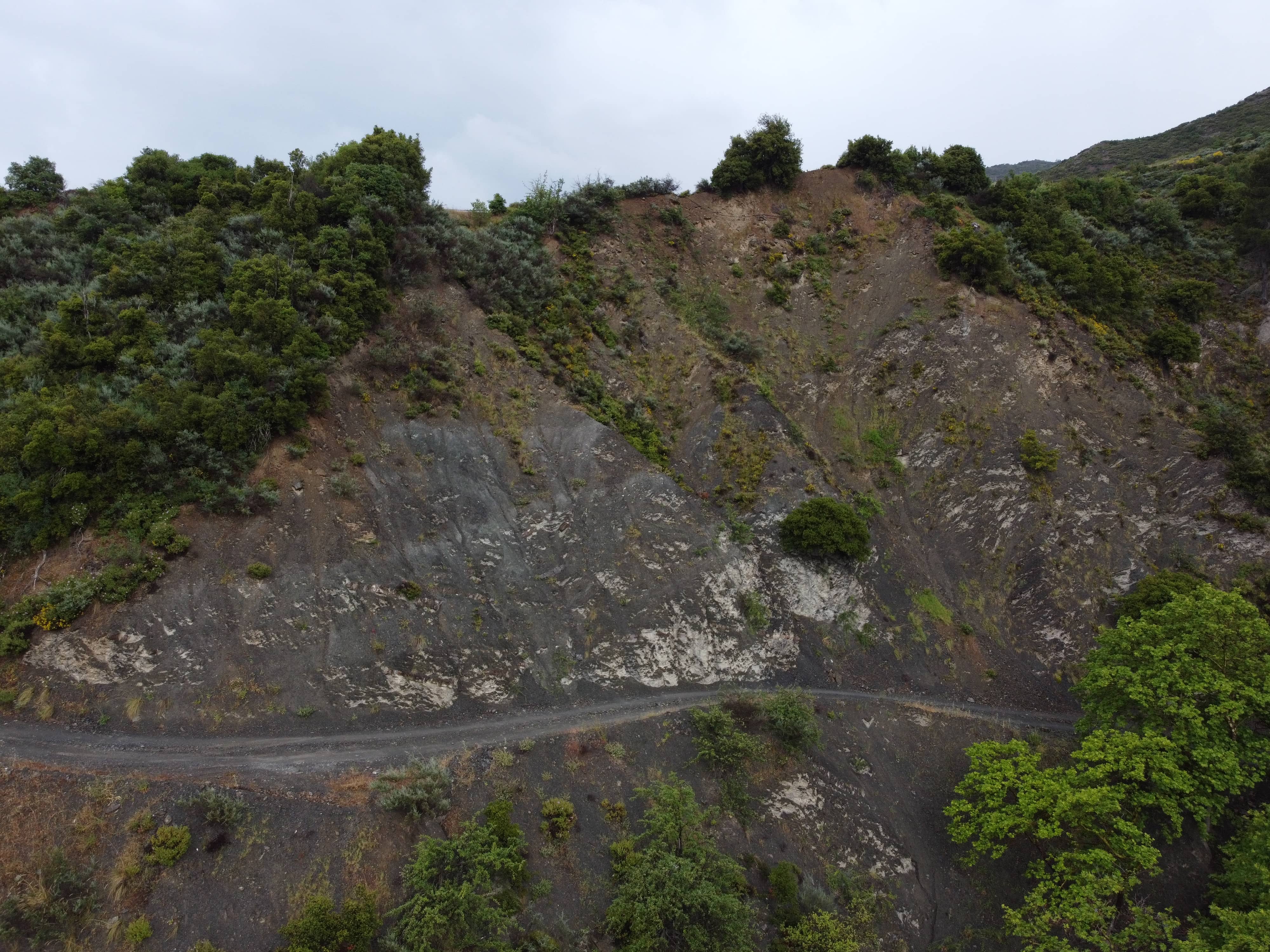 DJI_0143