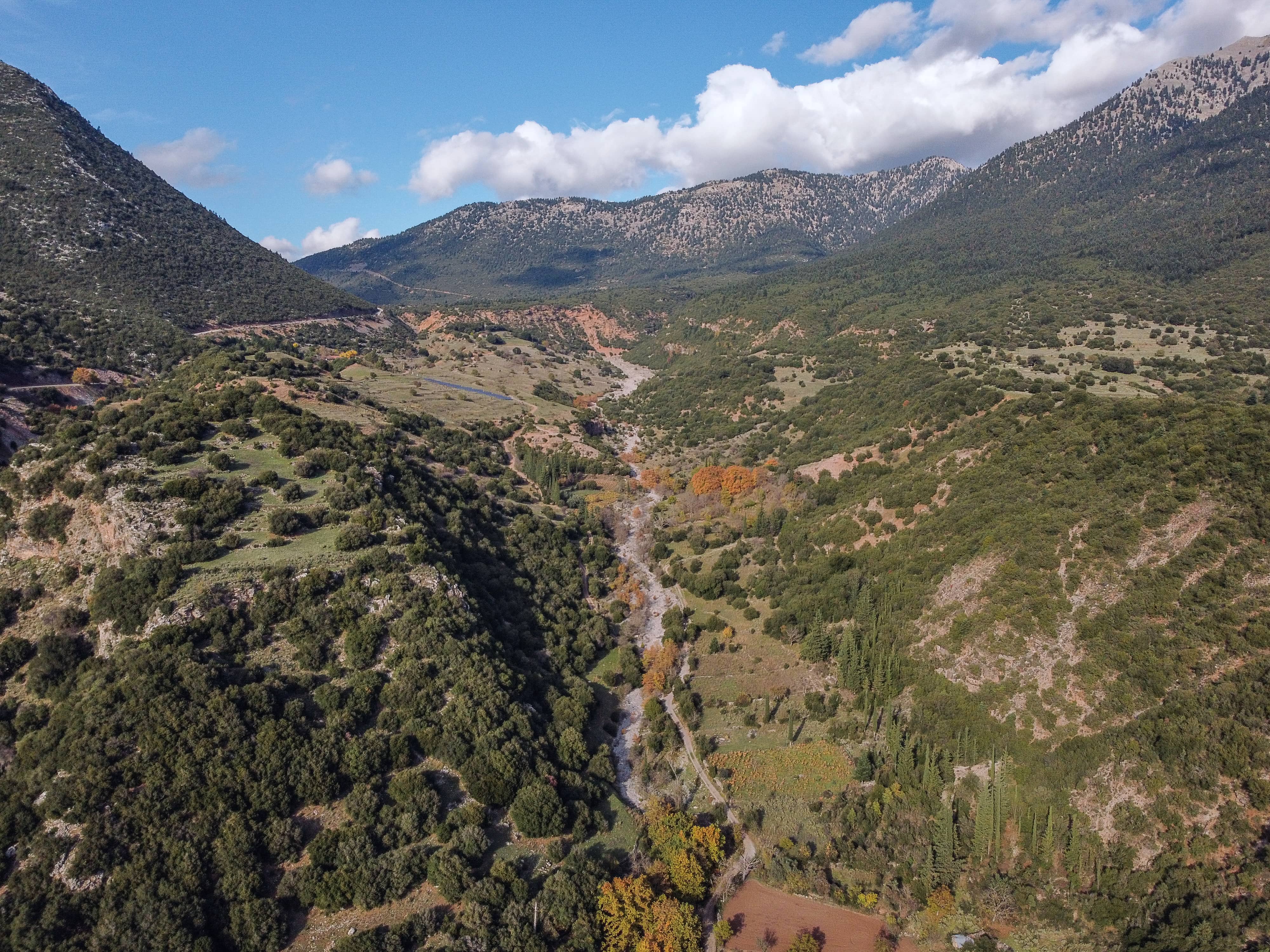 DJI_0446c