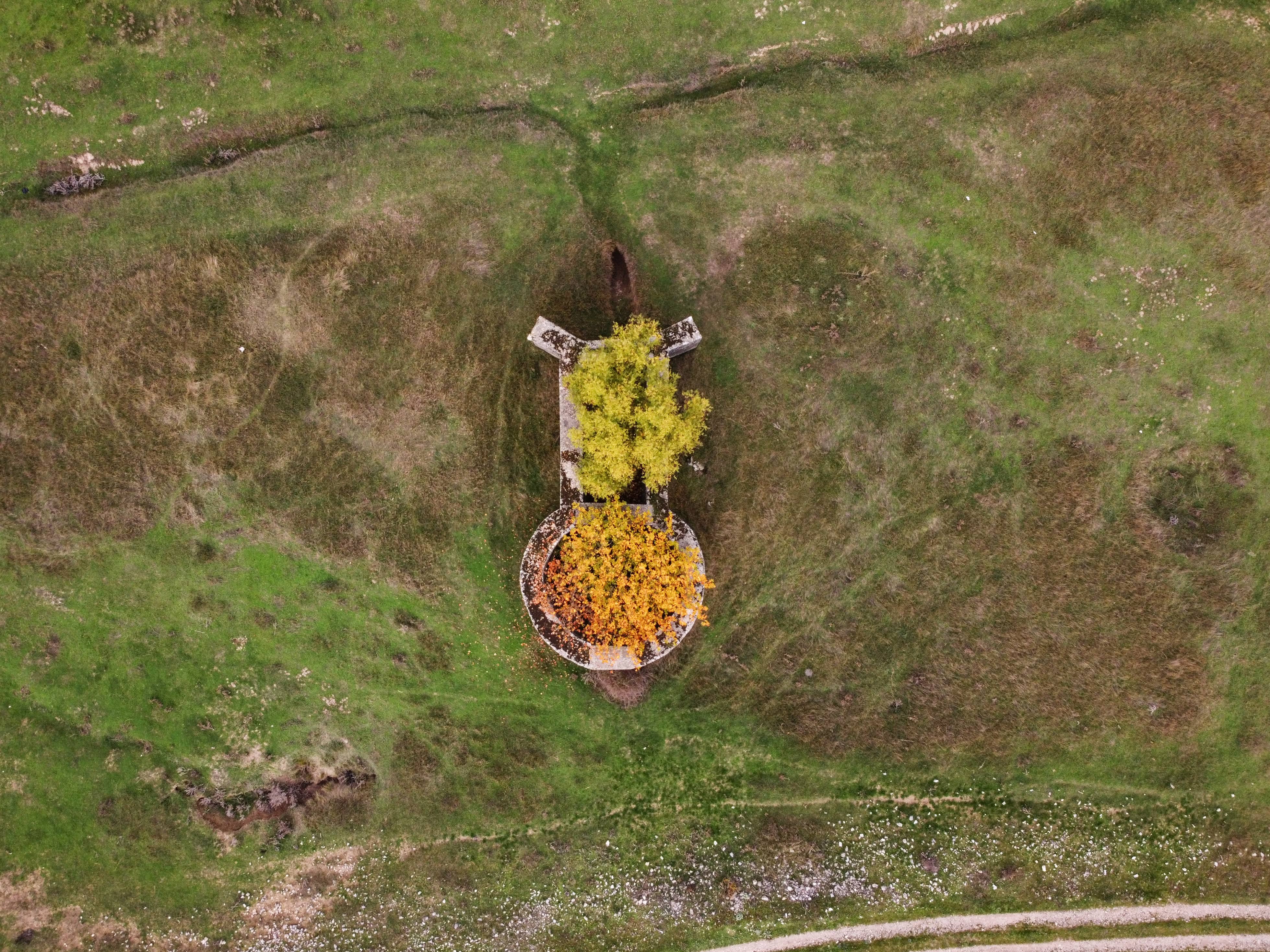 DJI_0561c
