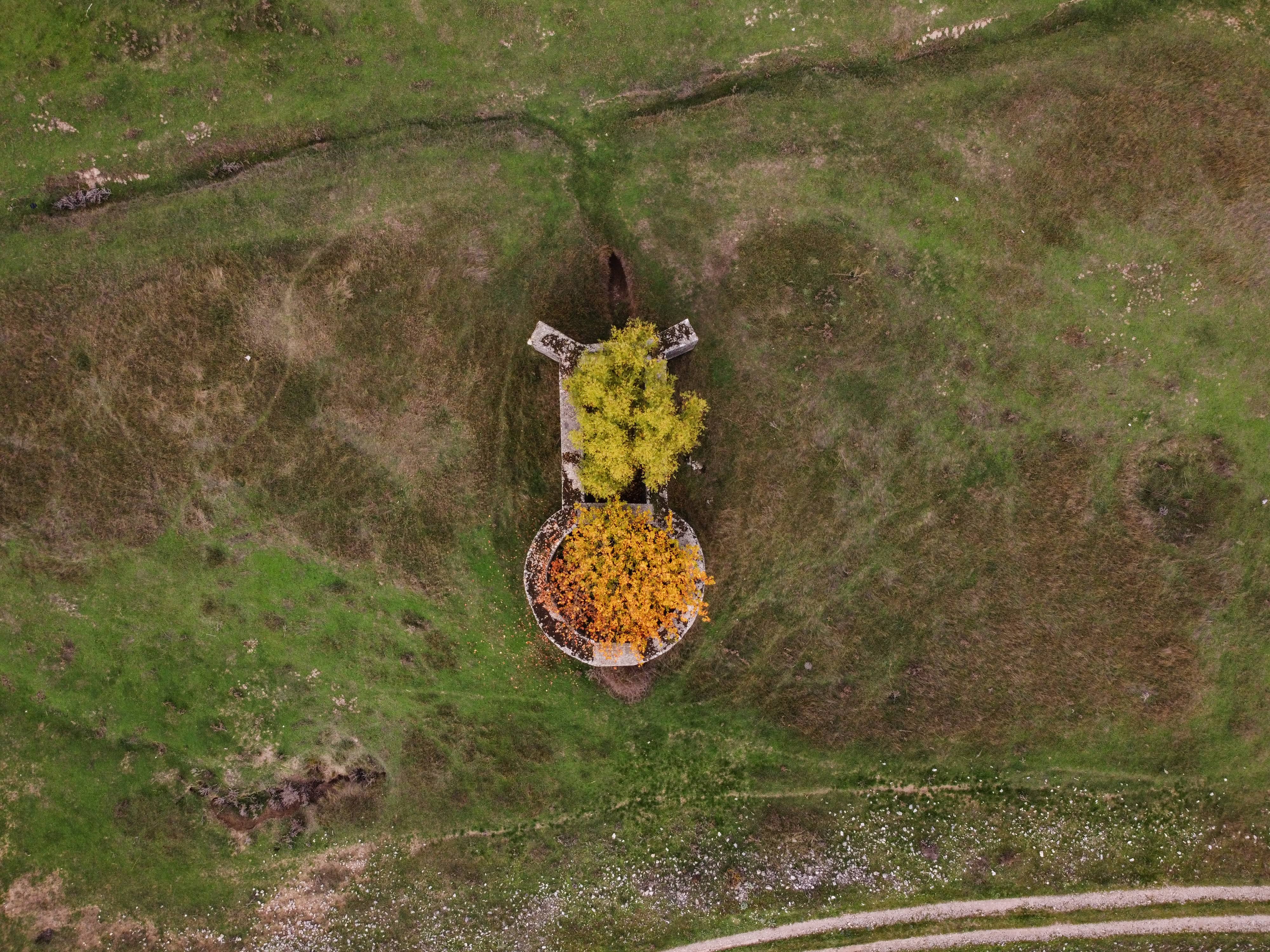 DJI_0561c