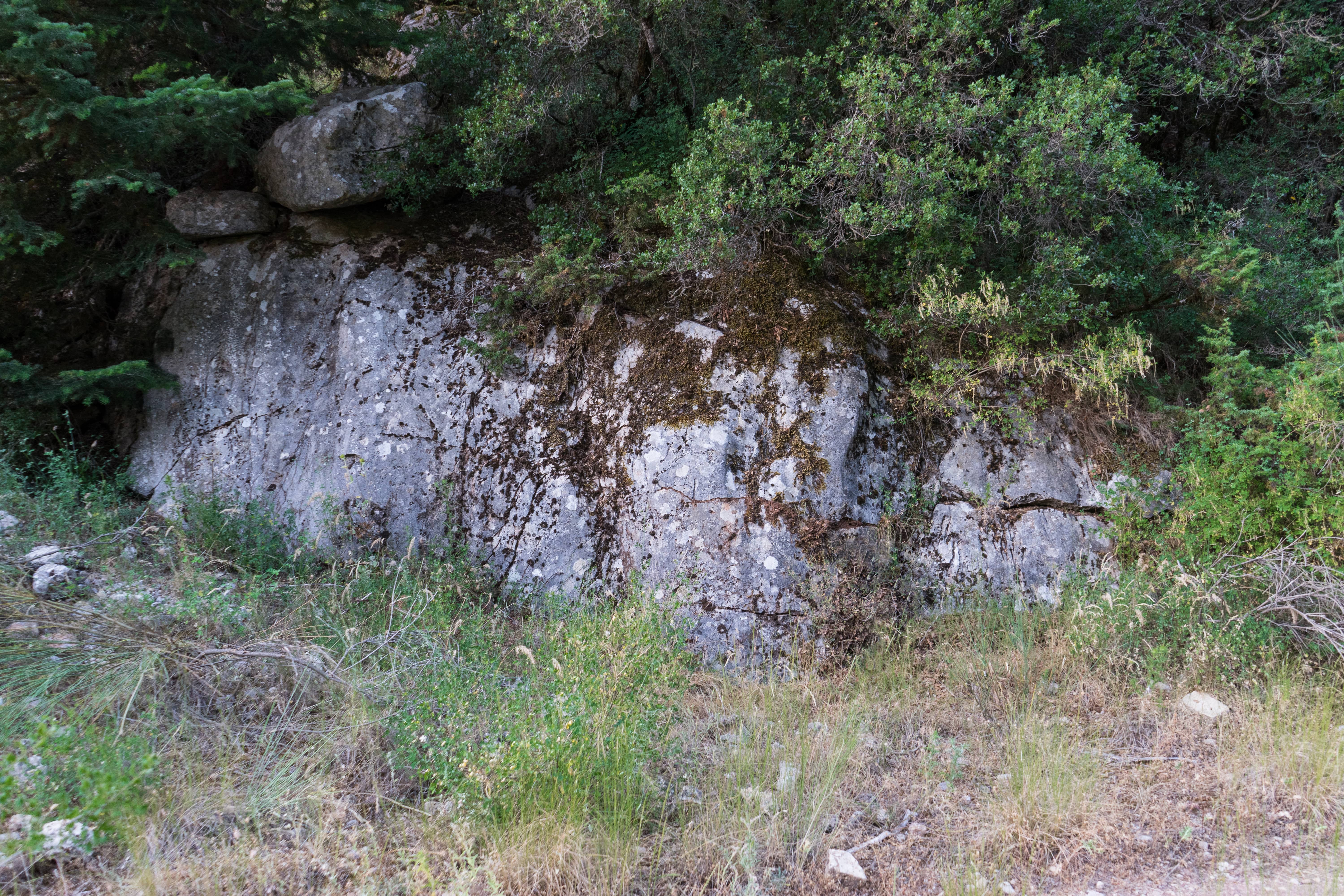 DSC01694c