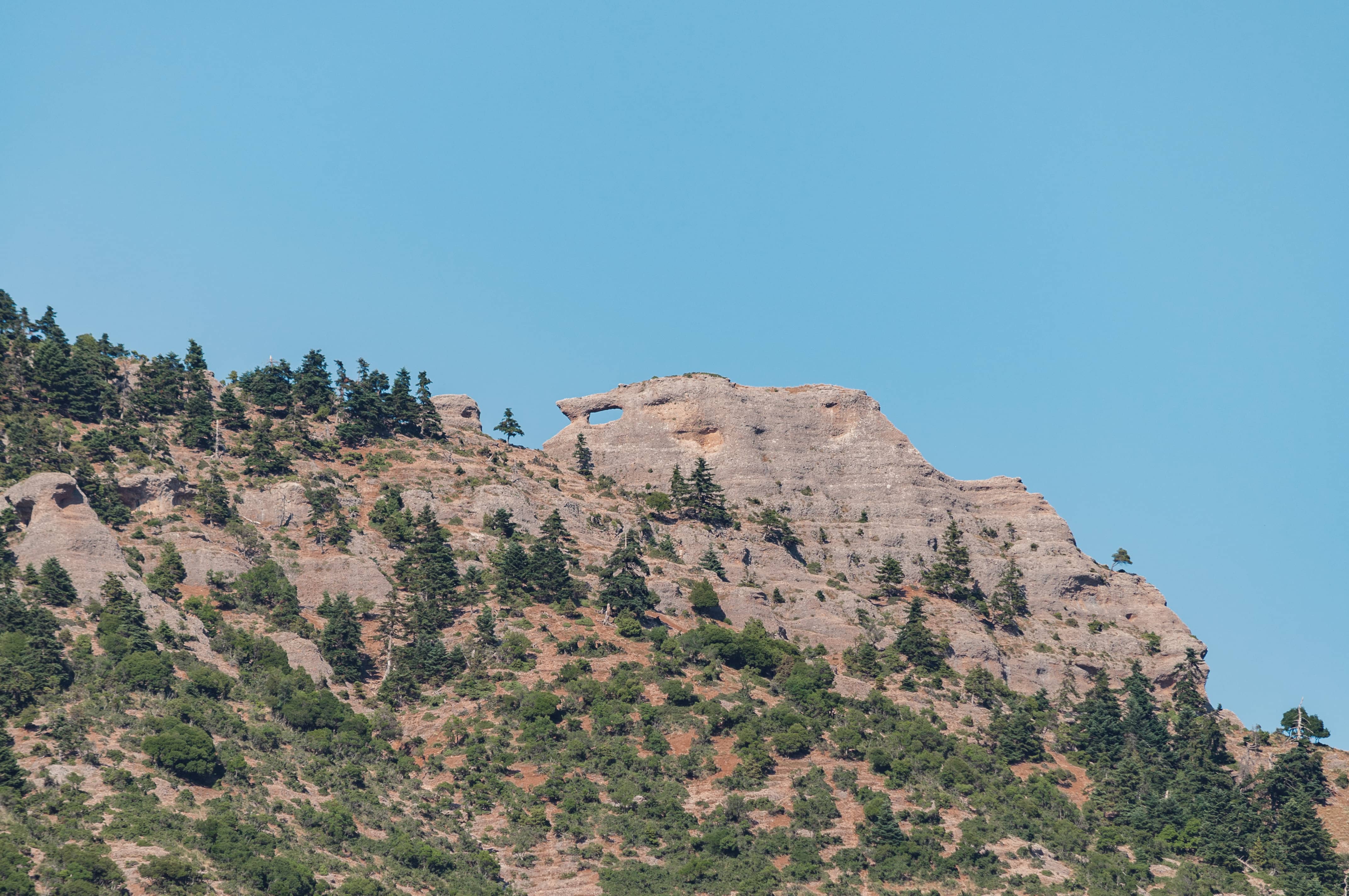 DSC_0021c